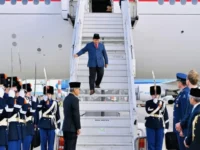 Prabowo temui Raja Belanda perkuat kerja sama strategis