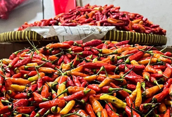 Harga beras medium turun jadi Rp13.678/kg, cabai rawit Rp46.372/kg