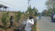 Warga Diminta Waspada, Puntung Rokok Diduga Berpotensi Picu Kebakaran Lahan di Dekat SMP 3 Campalagian