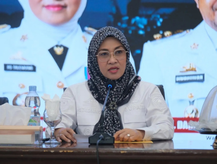 Mendagri Terbitkan SK Pemberhentian Sitti Husniah Talenrang, Darmawangsyah Muin Ditunjuk sebagai Plt Bupati Gowa